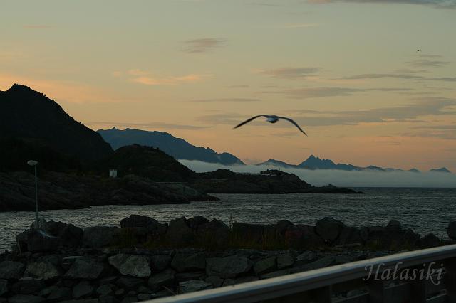 Norwegia (714).JPG - Lofoty - wyspa Moskenes (Sorvagen)